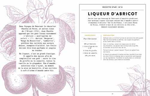 Alcools et liqueurs maison: Réalisez vous-même vos boissons alcoolisées