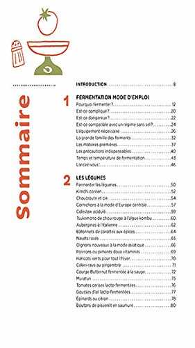 Aliments fermentés, aliments santé - méthodes, conseils et recettes