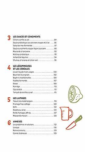 Aliments fermentés, aliments santé - méthodes, conseils et recettes