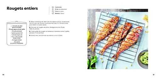 Barbecue et plancha : 100 recettes pour faire chauffer le gril