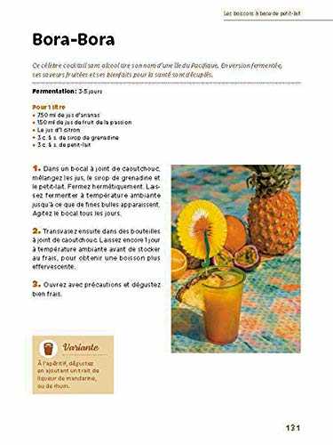 Boissons fermentées naturelles - sodas, limonades, kéfirs et kombuchas
