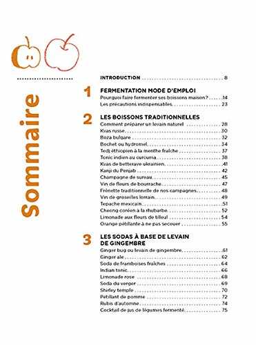 Boissons fermentées naturelles - sodas, limonades, kéfirs et kombuchas