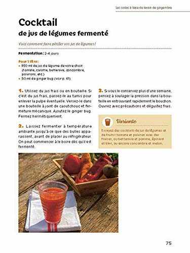 Boissons fermentées naturelles - sodas, limonades, kéfirs et kombuchas