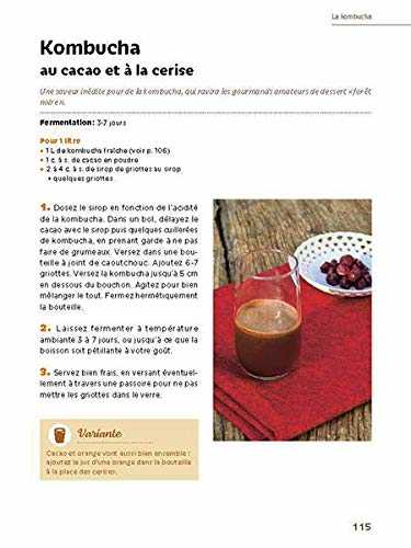 Boissons fermentées naturelles - sodas, limonades, kéfirs et kombuchas