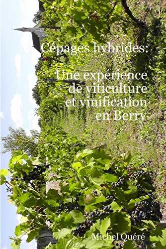Cépages hybrides : une expérience de viticulture et vinification en berry
