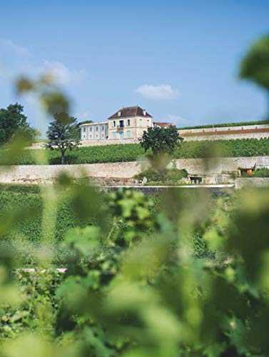 Château pavie - signature perse