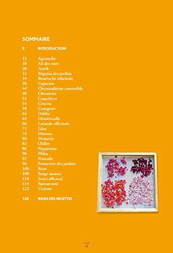 Cuisiner les fleurs du jardin - 25 fleurs et 110 recettes