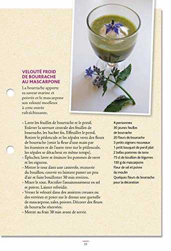 Cuisiner les fleurs du jardin - 25 fleurs et 110 recettes