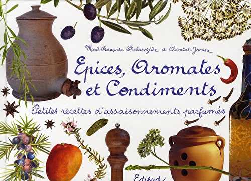 Épices, aromates et condiments - petites recettes d'assaisonnements parfumés