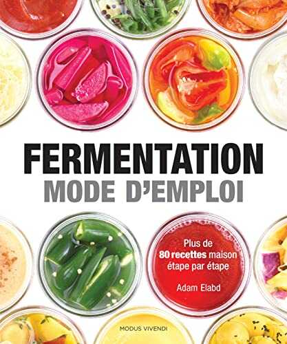 Fermentation : Mode d'emploi: Plus de 80 recettes maison étape par étape