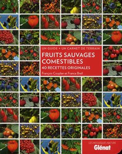 Fruits sauvages comestibles - 40 recettes originales