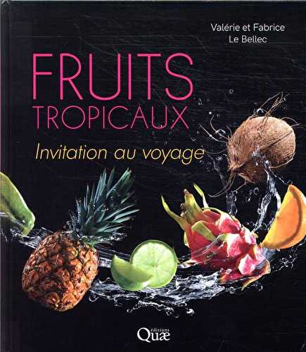 Fruits tropicaux - invitation au voyage