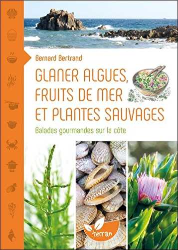 Glaner algues, fruits de mer et plantes sauvages - balades gourmandes sur la côte