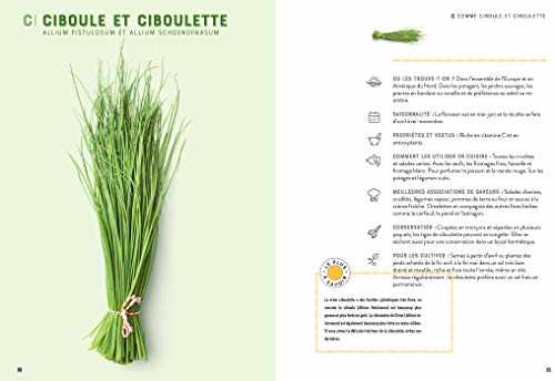 Herbes aromatiques: les connaître, les choisir, les cuisiner