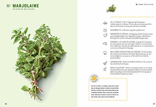 Herbes aromatiques: les connaître, les choisir, les cuisiner