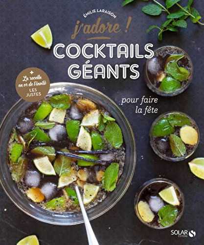 J'adore - les cocktails géants pour faire la fête