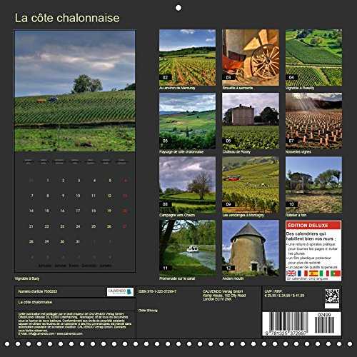 La côte chalonnaise (Calendrier mural 2019 300 × 300 mm Square): La côte chalonnaise étire ses vignes sur 25 km de long et 7 km de large. (Calendrier mensuel, 14 Pages )