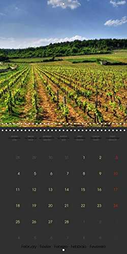 La côte chalonnaise (Calendrier mural 2019 300 × 300 mm Square): La côte chalonnaise étire ses vignes sur 25 km de long et 7 km de large. (Calendrier mensuel, 14 Pages )