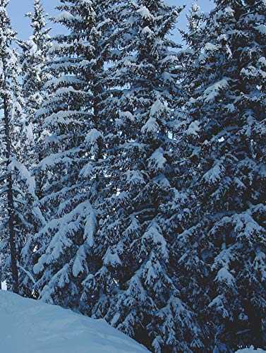 Le Chabichou Courchevel: Stéphane Buron