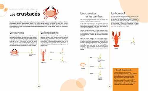 Le grand cours des accords mets et vins: 100 leçons pour réaliser des accords gourmands comme un expert