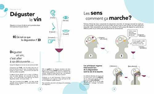 Le grand cours des accords mets et vins: 100 leçons pour réaliser des accords gourmands comme un expert