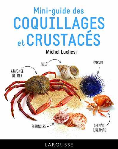 Le mini-guide des coquillages et crustacés