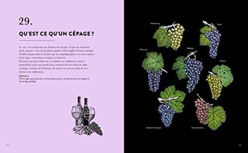 Le vin en 50 questions