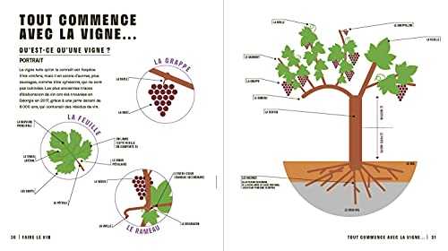 Le vin en seul coup d'oeil (2e édition)