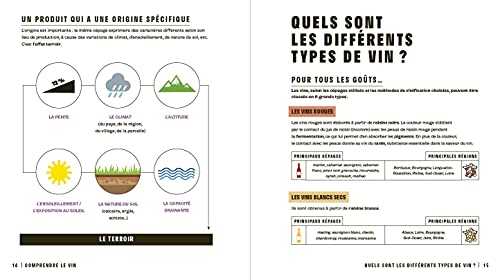 Le vin en seul coup d'oeil (2e édition)