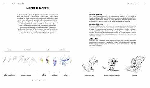 Le vin par Antoine Pétrus: Meilleur Ouvrier de France - Sommelier