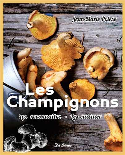 Les champignons - les reconnaître, les cuisiner