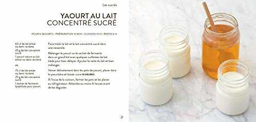 Mes recettes à la Yaourtière : 150 recettes de yaourts , desserts , et gâteaux faciles et rapides !