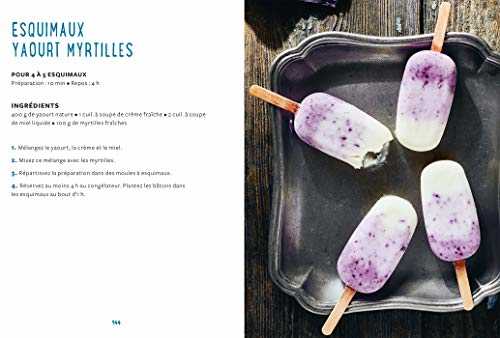 Mes yaourts Maison: 80 recettes inratables pour devenir un pro avec ou sans yaourtière