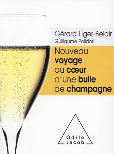 Nouveau voyage au coeur d'une bulle de champagne