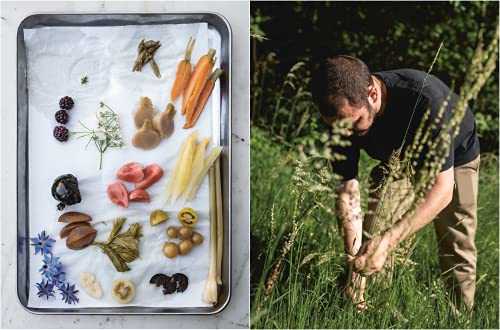 Nouvelles Auberges – Cuisine de campagne, les recettes d'une jeune génération de chef·fe·s qui travaillent les produits de leurs ... le respect des saisons et des circuits courts