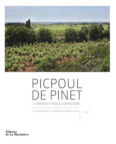 Picpoul de pinet - une odyssée viticole en languedoc