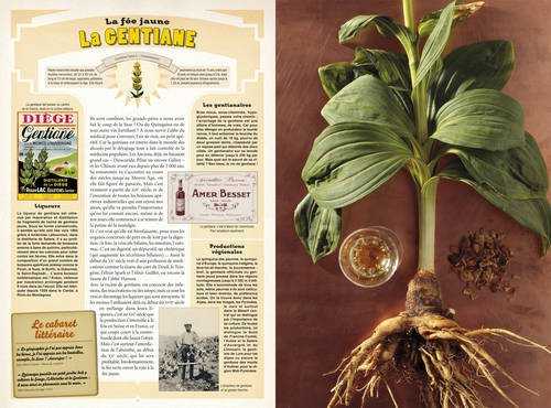 Plantes à boire - du petit-déjeuner au digestif, histoires humaines des plantes à boisson