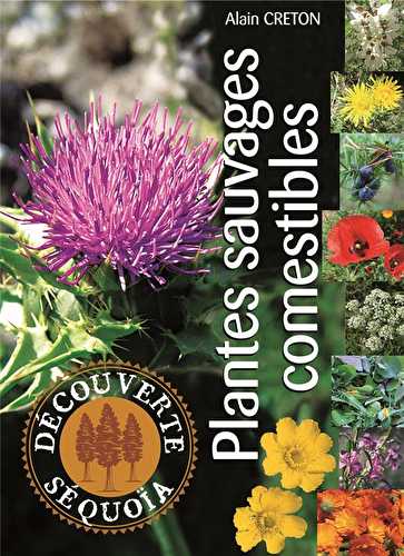 Plantes sauvages comestibles