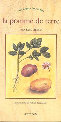 Pomme de terre (la) - chroniques du potager