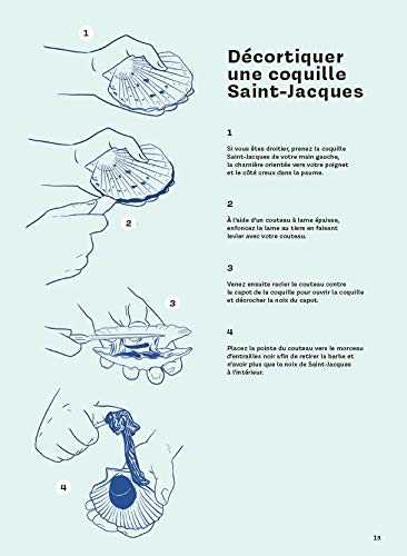 Retour de pêche - Saisons, recettes , techniques, tous les bons conseils pour cuisiner la mer, les poissons et les crustacés