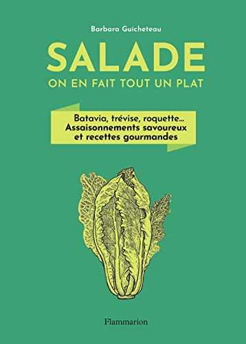 Salade, on en fait tout un plat: Batavia, trévise, roquette... Assaisonnements savoureux et recettes gourmandes