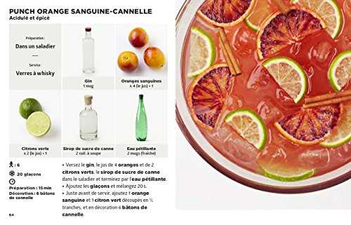 SIMPLISSIME Le livre de cocktails le plus facile du monde