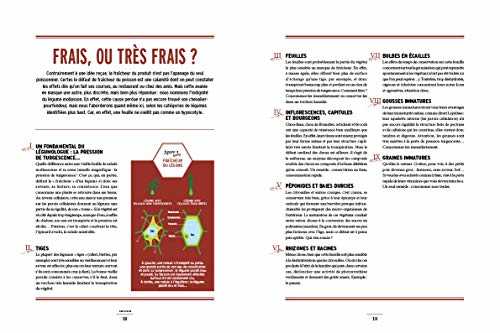 TRAITÉ DE MIAMOLOGIE LÉGUMES