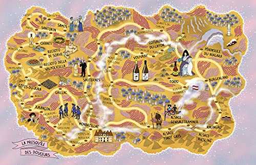 Vinoland : un voyage illustré et inédit au pays du vin