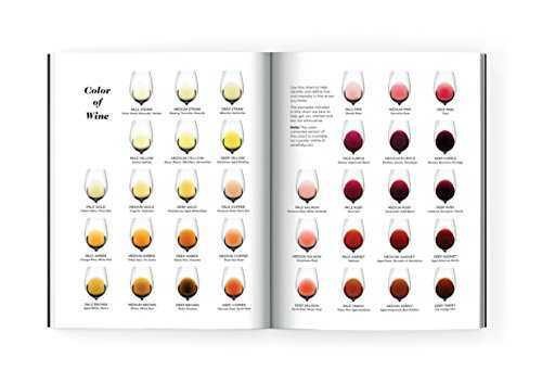 Wine Folly: Magnum Edition: The Master Guide