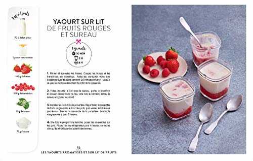 Yaourts, desserts & cie à la yaourtière: Spécial multi délices